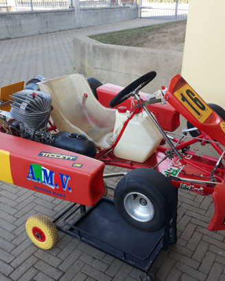 Go kart 100