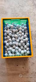 Palline Golf