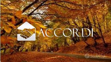 Rif.BL113.| terreno agricolo possagno