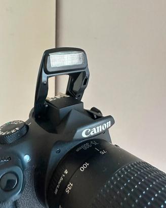 Canon EOS 1300D+Canon 75-300mm F/4-5.6 |||