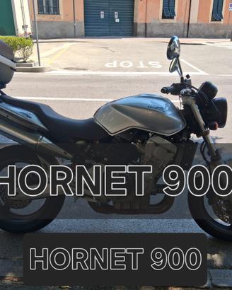 HORNET 900
