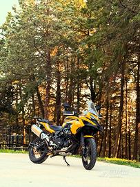Benelli trk502x limited edition
