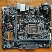 scheda madre Asus H 110M-A