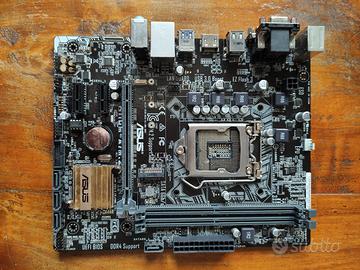 scheda madre Asus H 110M-A