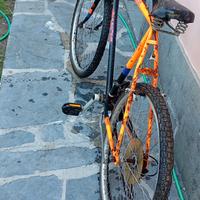 bicicletta MTB 