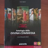 libro di letteratura la divina commedia 