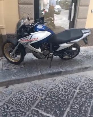 Transalp XL700V