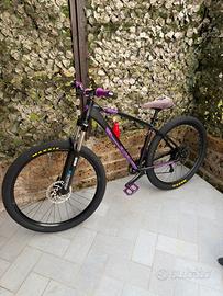 Bicicletta C100