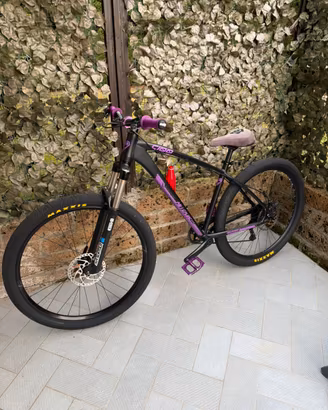 Bicicletta C100