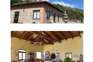 Attività Commerciale Plataci [A4295856]