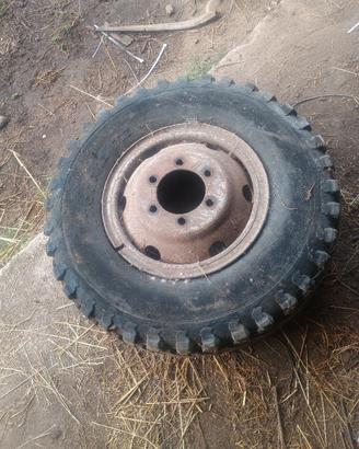 cerchio trilex