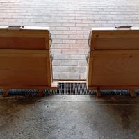 Arnia da Osservazione con melario