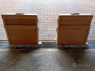 Arnia da Osservazione con melario