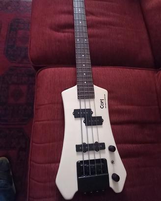  basso  Cort - Steinberger