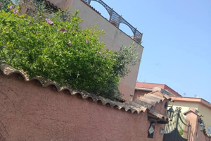 Tor san Lorenzo transitorio