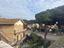 Immagine 12