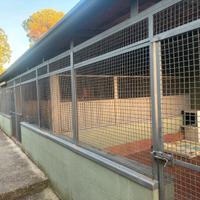 Servizi per animali