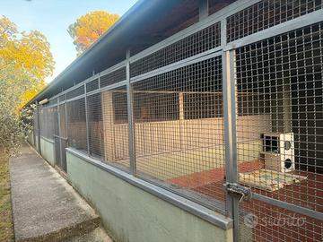 Servizi per animali