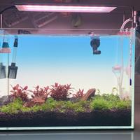 Acquario amtra nanoscaping 36x23x26