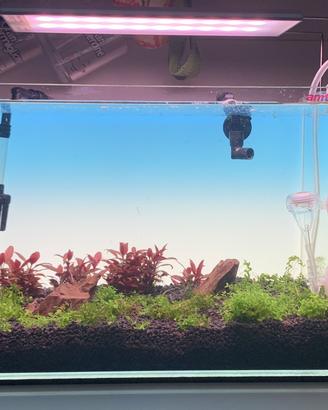 Acquario amtra nanoscaping 36x23x26