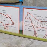 pannello plexiglass 