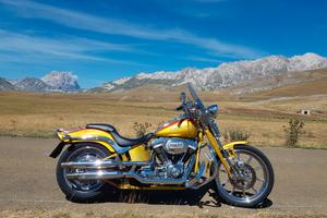 Harley Davidson Springer