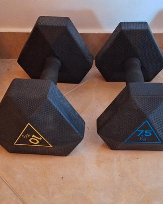 manubri coppia da 7,5 kg e 10 kg