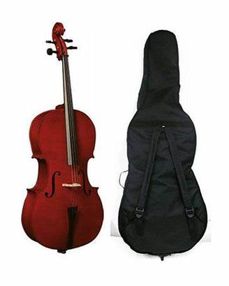 VIOLONCELLO DOMUS 4/4 (NUOVO)