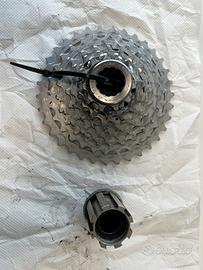 Pacco pignoni campagnolo 12v Chorus 12S