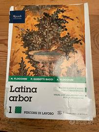 Libro Latina arbor 1 volume verde completo💚