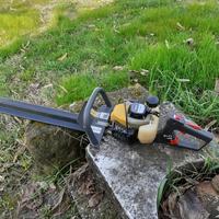 tagliasiepe e motosega elettrica 