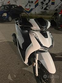 Sh 125 2020