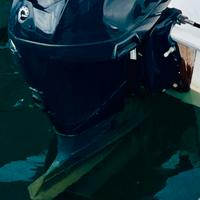 Motore Evinrude E-Tec 40 senza centralina