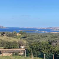 Terreno agricolo zona s Pasquale