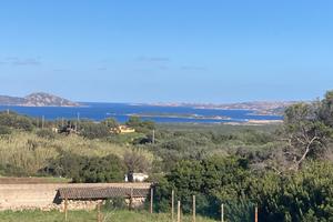 Terreno agricolo zona s Pasquale