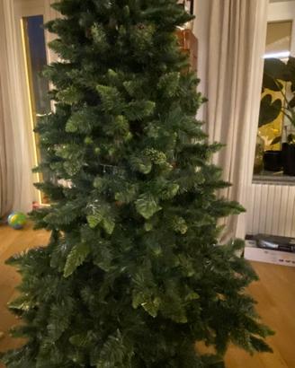 Albero di Natale senza decorazioni