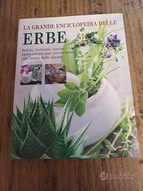 Erbe salute, bellezza, cucina