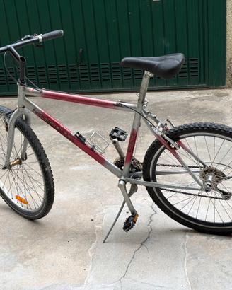 Mtb da stazione