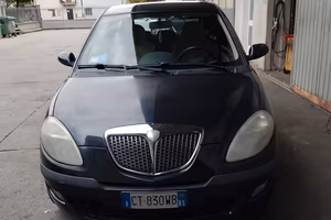 Ypsilon platino 2005