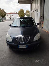 Ypsilon platino 2005