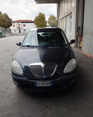 Ypsilon platino 2005