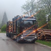 Volvo fh16 600 legname