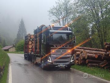 Volvo fh16 600 legname