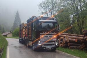 Volvo fh16 600 legname