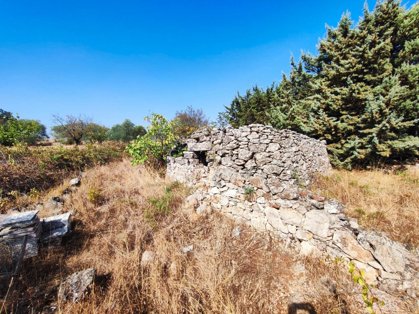 Altamura, via buoncammino, terreno+ulivi - Vista 3