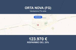 Immobile in asta di 174 m² a Orta Nova
