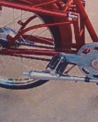 Cucciolo ducati