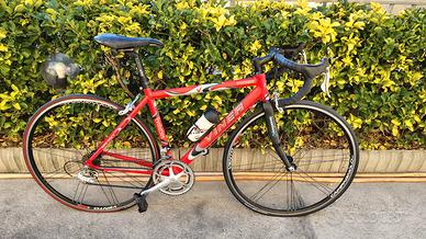bici da corsa Viner Campagnolo 