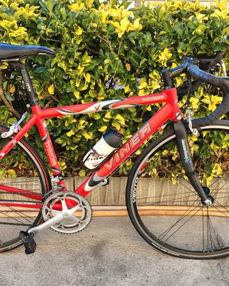 bici da corsa Viner Campagnolo 