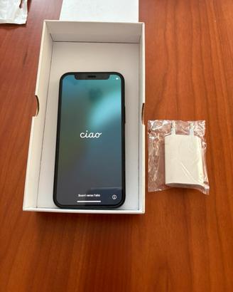 iPhone 12 mini
